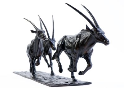 Le galop des oryx - Vue 02
