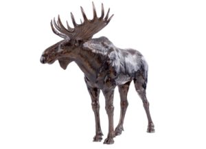 Sculpture en bronze d'un élan