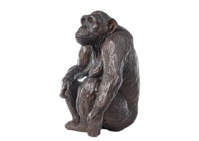 Xanthippe, femelle chimpanzé (ÉPUISÉE)