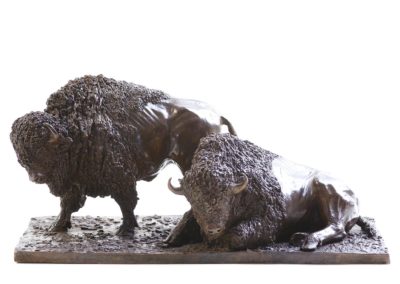 Deux bisons d'Amérique - Vue 01