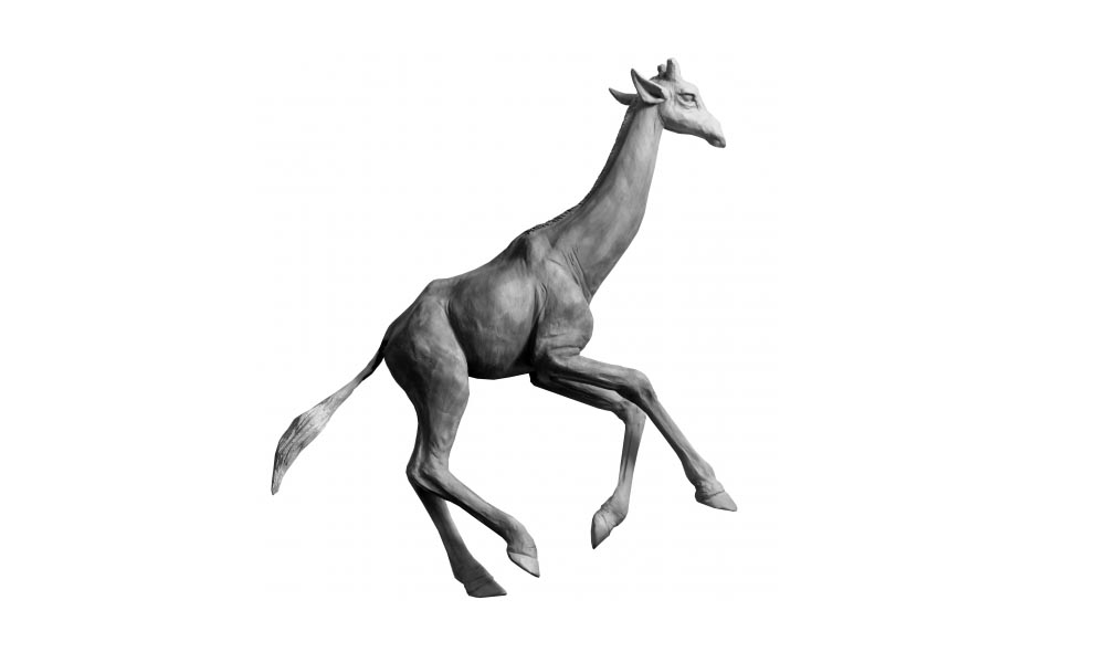 LES GIRAFES AU GALOP : LE GROUPE AU COMPLET