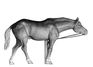 Sculpture d'un cheval demi-sang attaché