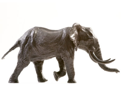Éléphant d’Afrique chargeant (ÉPUISÉ)