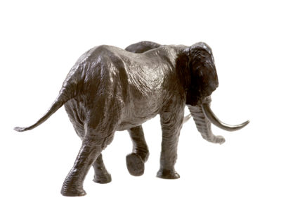 Eléphant-d'Afrique-chargeant-vue-03