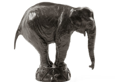 Eléphant-d'Asie-au-cirque-vue-01