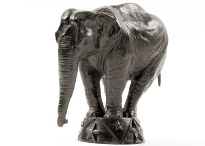 Eléphant-d'Asie-au-cirque-vue-02