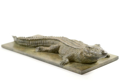 Crocodile-du-Nil-vue-01