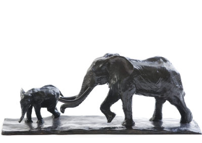 Eléphant-d'Afrique-et-éléphanteau-vue-01
