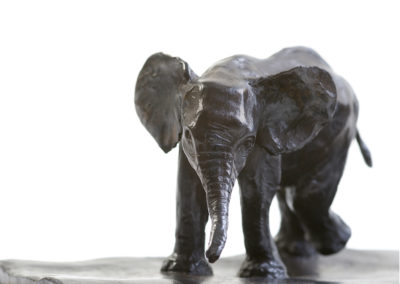 Eléphant-d'Afrique-et-éléphanteau-vue-02
