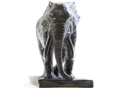 Grand-éléphant-d'Afrique-vue-02
