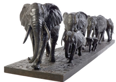 Les-éléphants-d'Afrique-en-marche-vue-03