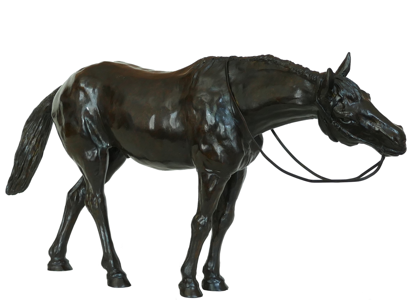 Bronze Colcombet cheval étalon avec rênes