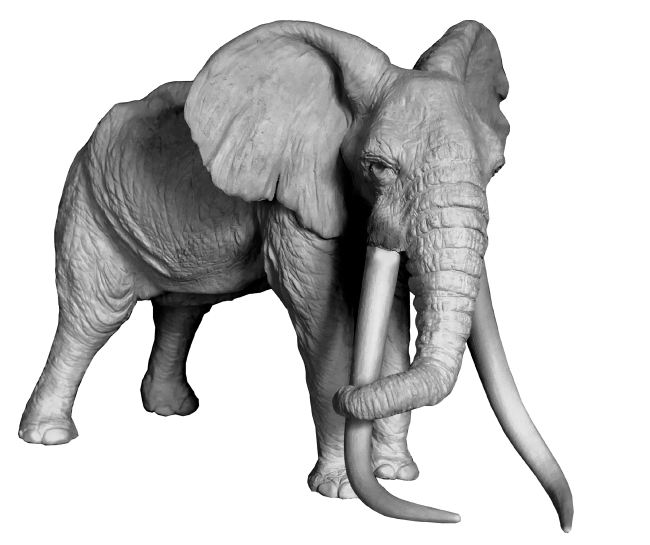 Bronze Colcombet éléphant d'Afrique grandes défenses