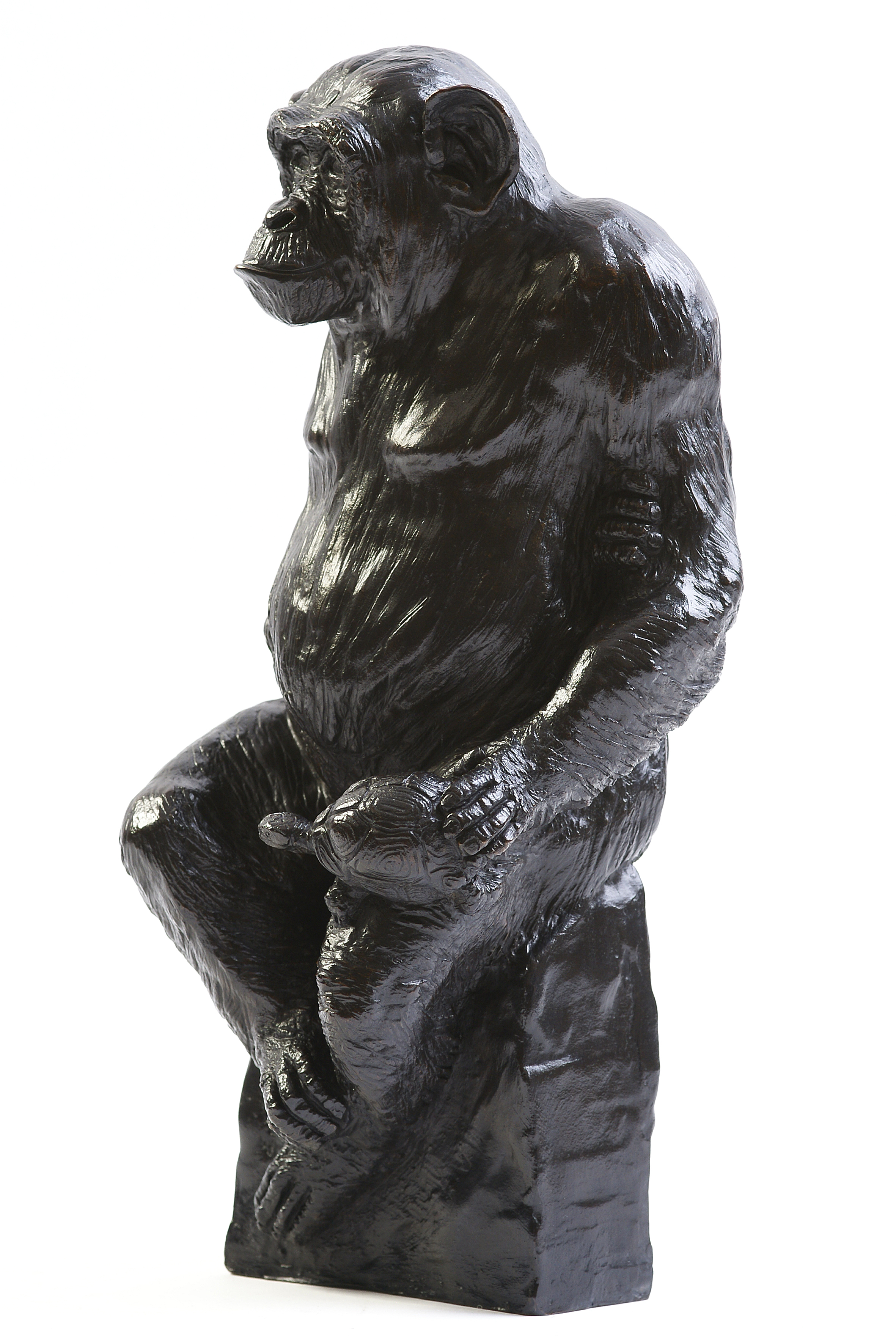 Bronze Colcombet chimpanzé tortue