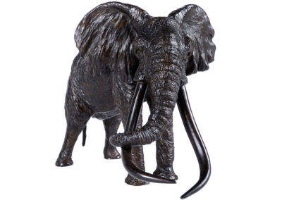 « Le patriarche » – Vieil éléphant d’Afrique