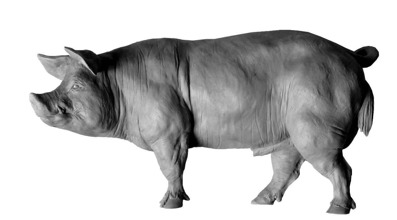 Sculpture Colcombet cochon porc verrat