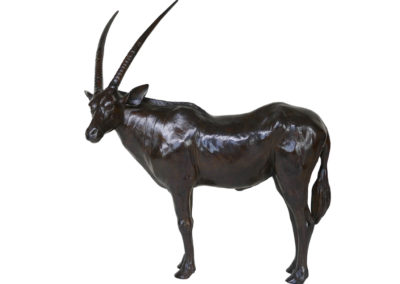 Oryx tête tournée