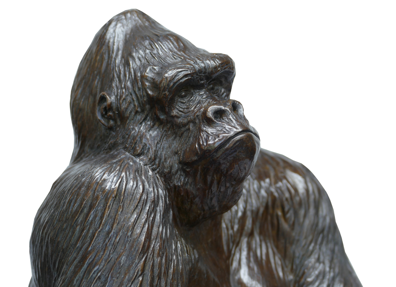 Bronze Colcombet gorille mâle dos argenté