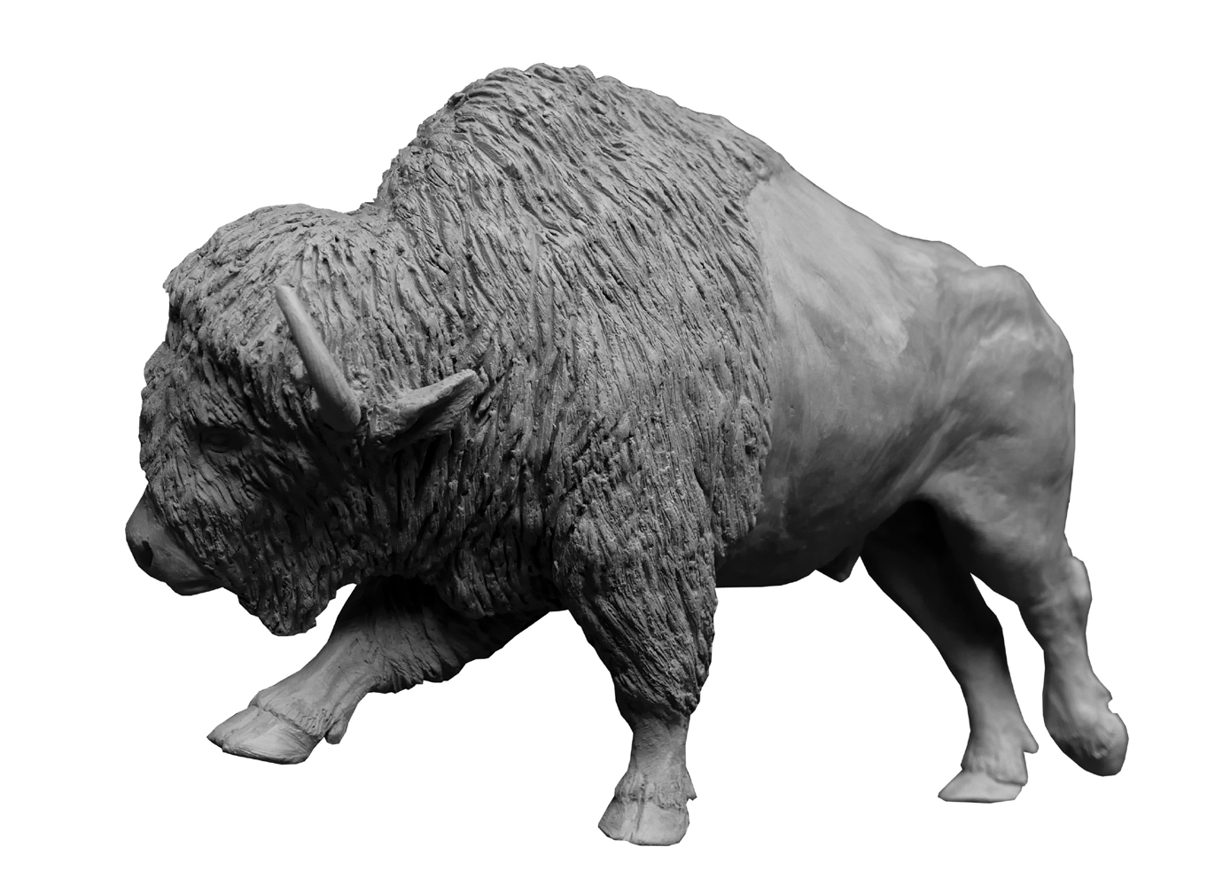 Bronze Colcombet bison d'Amérique mâle