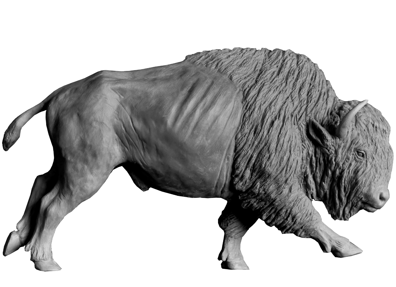 Bronze Colcombet bison d'Amérique mâle