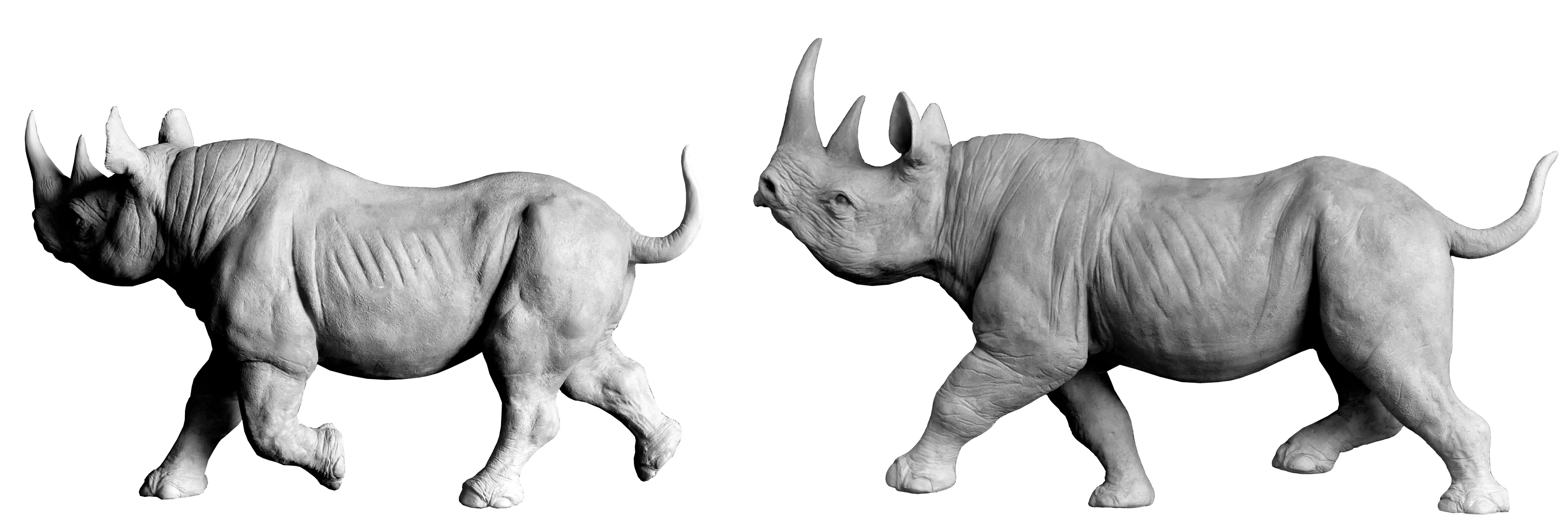 Bronze sculpture Colcombet rhinocéros noir