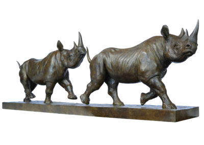 Rhinocéros-noirs-au-trot-vue-01