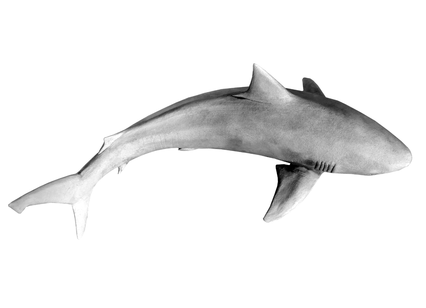 Bronze sculpture Colcombet requin gris