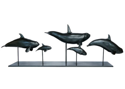 Les-orques-patine-noire-vue-01
