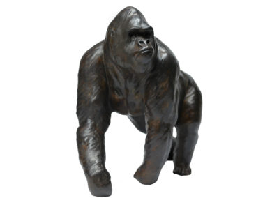 Gorille-grand-mâle-en-marche-réduction-vue-02
