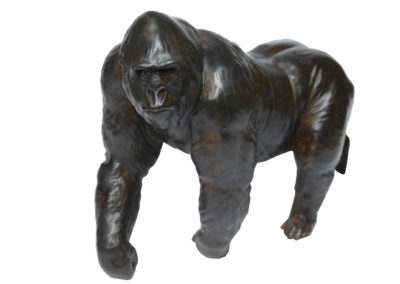 Gorille-grand-mâle-en-marche-réduction-vue-03