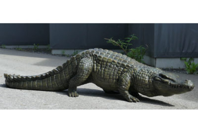 Crocodile-du-Nil-en-marche-Agrandissement-vue-01