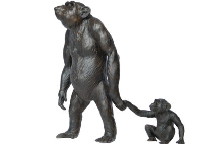 Myrto et Lamproclès, chimpanzés