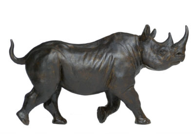 Rhinocéros noir femelle au trot – Réduction