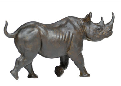 Rhinocéros-noir-femelle-au-trot-réduction-vue-01