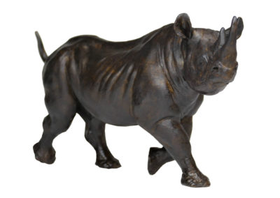 Rhinocéros-noir-femelle-au-trot-réduction-vue-02