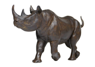 Rhinocéros-noir-femelle-au-trot-réduction-vue-03