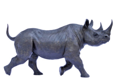 Rhinocéros noir femelle au trot – Agrandissement