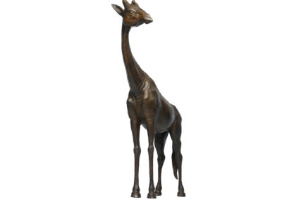 Girafe-tête-tournée-à-gauche-vue-04