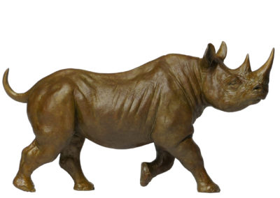 Rhinocéros-noir-femelle-au-trot-réduction-vue-04