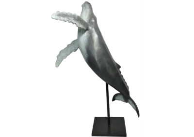 Baleine-à-bosse-sautant-vue-03