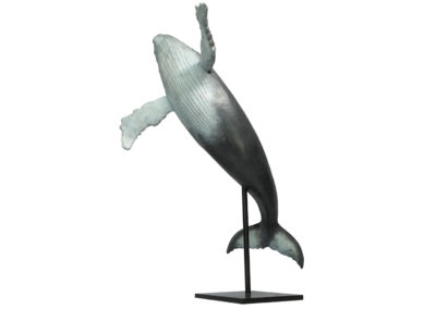 Baleine-à-bosse-sautant-vue-04