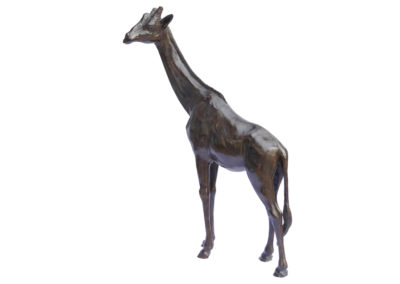 Girafe tête tournée à gauche – Agrandissement