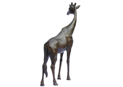 Girafe-tête-tournée-agrandissement-vue-01