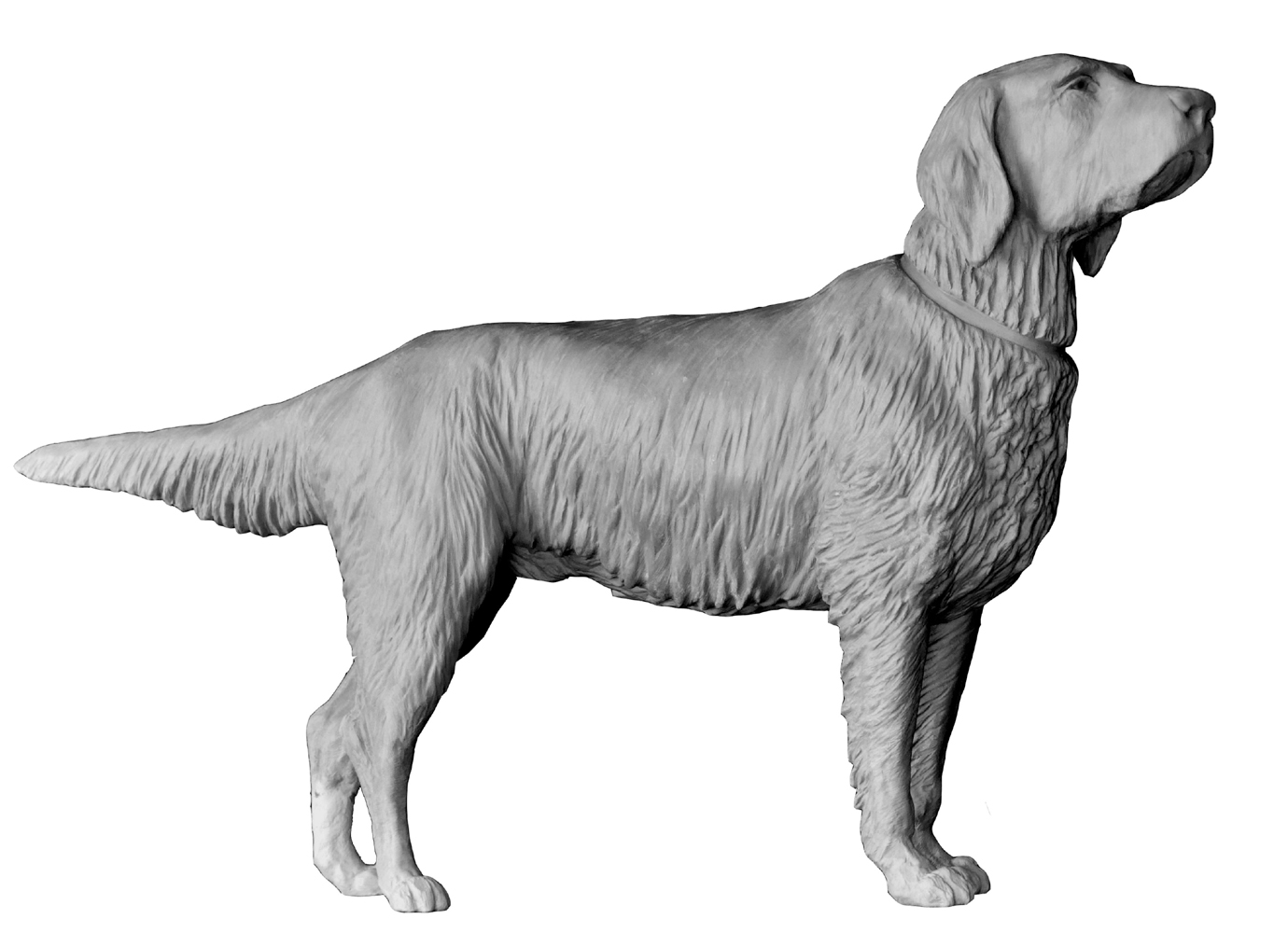 Sculpture Damien Colcombet chien flat coated retriever