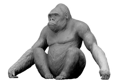 Le gorille Diogène (Projet)