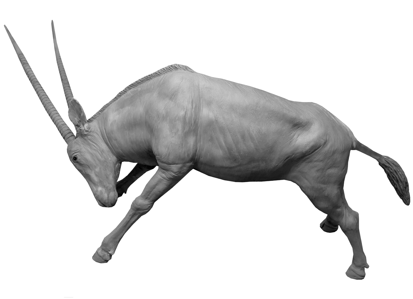 Sculpture bronze Colcombet oryx chargeant