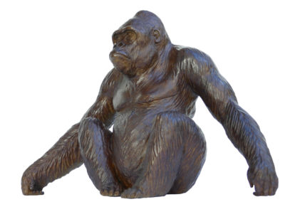 Le gorille Diogène