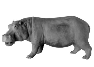 Grand hippopotame (Projet)