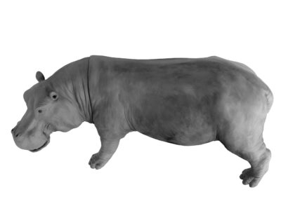 Grand-hippopotame-vue-01