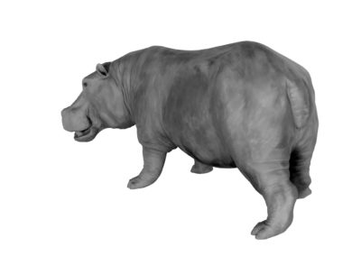 Grand-hippopotame-vue-03